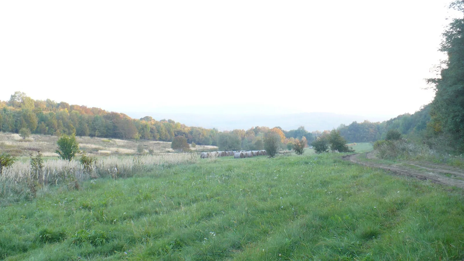 Pénzesgyőr – településkép