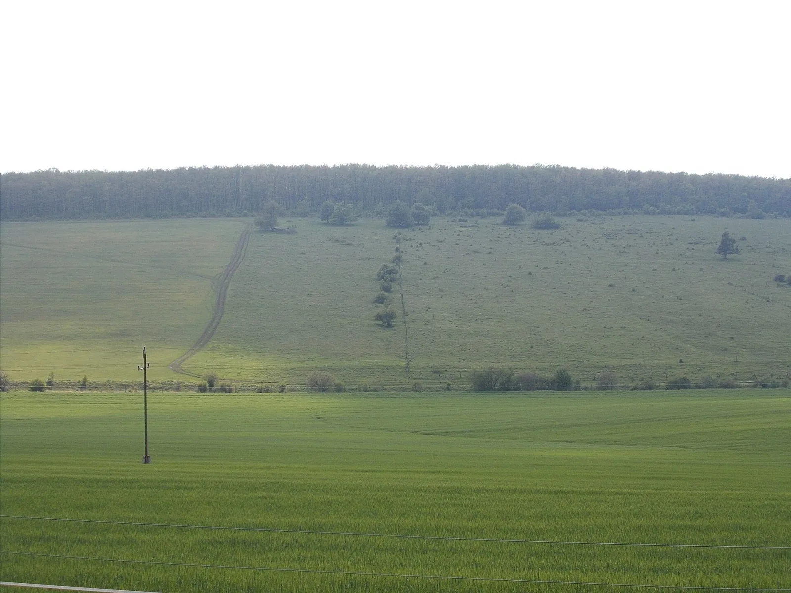 Zirc – településkép